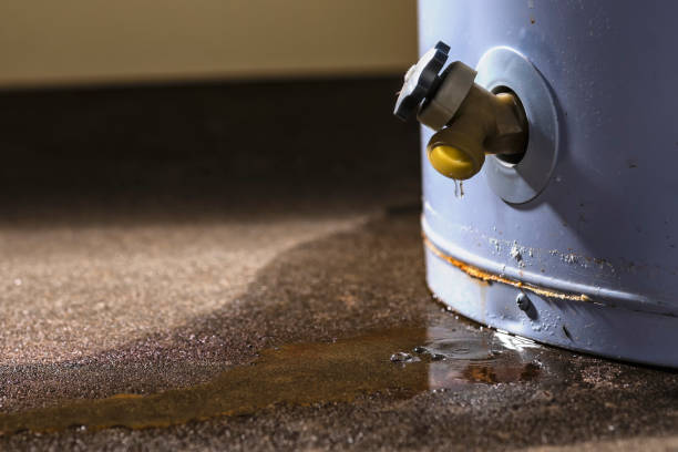 Best Water damage cleanup near me  in Granite Falls, MN
