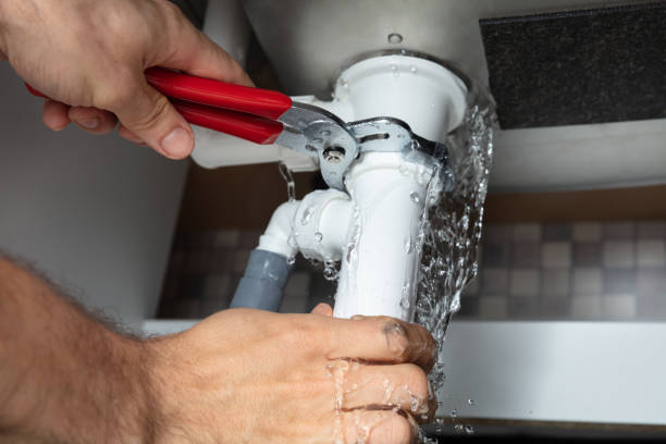 Best Local water damage restoration  in Granite Falls, MN