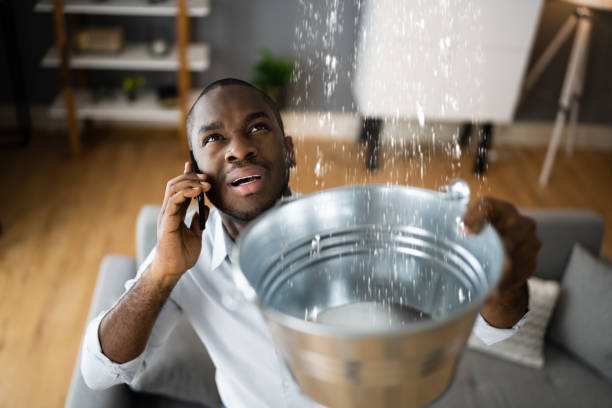 Best Flooded house restoration  in Granite Falls, MN