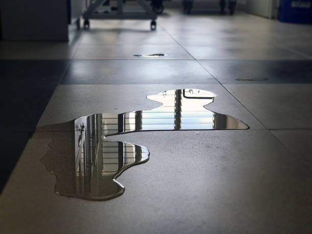 Best Local water damage restoration  in Granite Falls, MN