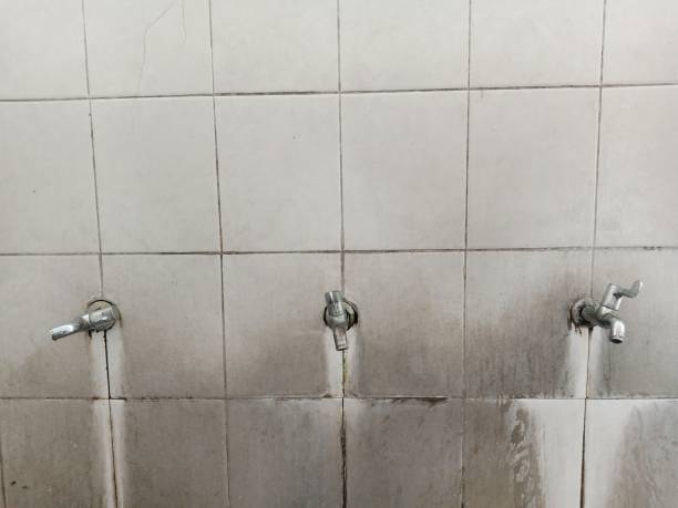 Best Water damage contractors near me  in Granite Falls, MN