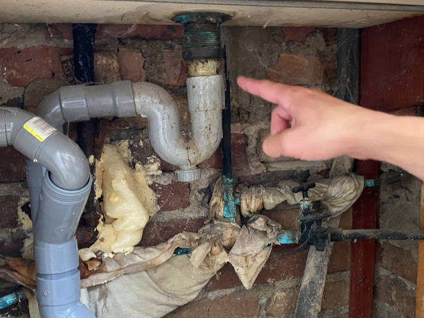  Granite Falls, MN Water damage restoration Pros