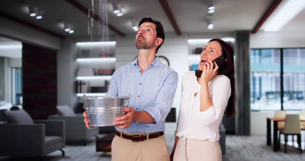 Best Fire Damage Restoration  in Granite Falls, MN