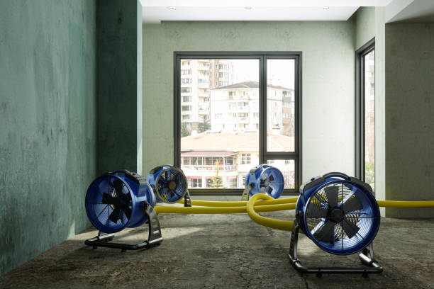 Best Carpet water damage restoration  in Granite Falls, MN