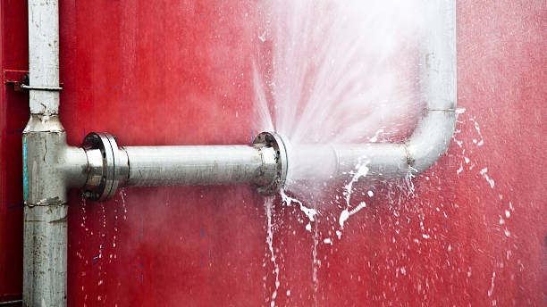 Best Ceiling water damage repair  in Granite Falls, MN